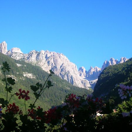 Garni Lago Alpino Molveno Buitenkant foto