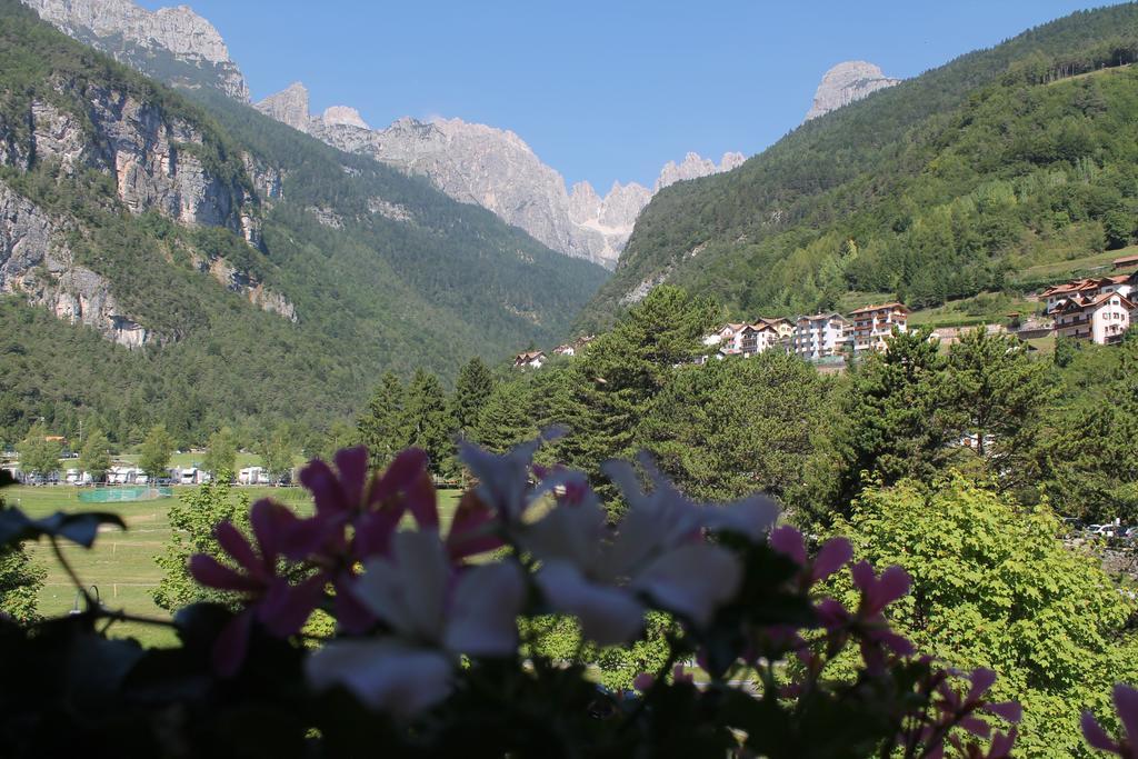 Garni Lago Alpino Molveno Kamer foto